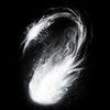 soulsparrow1